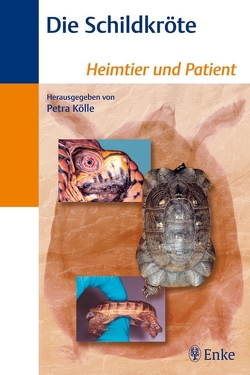 Die Schildkröte von Kölle,  Petra, Pees,  Michael