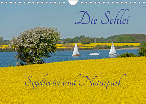Die Schlei – Segelrevier und Naturpark (Wandkalender 2023 DIN A4 quer) von Kuttig,  Siegfried