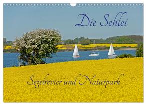 Die Schlei – Segelrevier und Naturpark (Wandkalender 2024 DIN A3 quer), CALVENDO Monatskalender von Kuttig,  Siegfried