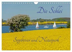 Die Schlei – Segelrevier und Naturpark (Wandkalender 2024 DIN A4 quer), CALVENDO Monatskalender von Kuttig,  Siegfried