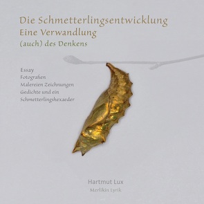 Die Schmetterlingsentwicklung von Lux,  Hartmut