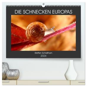 DIE SCHNECKEN EUROPAS (hochwertiger Premium Wandkalender 2024 DIN A2 quer), Kunstdruck in Hochglanz von Schellhorn,  Steffen