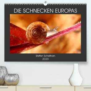 DIE SCHNECKEN EUROPAS (Premium, hochwertiger DIN A2 Wandkalender 2023, Kunstdruck in Hochglanz) von Schellhorn,  Steffen