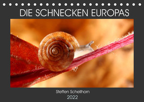 DIE SCHNECKEN EUROPAS (Tischkalender 2022 DIN A5 quer) von Schellhorn,  Steffen