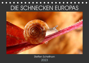 DIE SCHNECKEN EUROPAS (Tischkalender 2023 DIN A5 quer) von Schellhorn,  Steffen