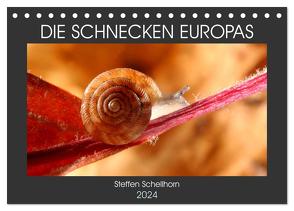 DIE SCHNECKEN EUROPAS (Tischkalender 2024 DIN A5 quer), CALVENDO Monatskalender von Schellhorn,  Steffen