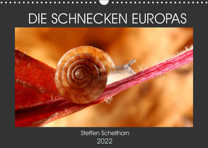 DIE SCHNECKEN EUROPAS (Wandkalender 2022 DIN A3 quer) von Schellhorn,  Steffen
