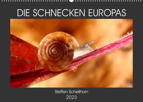 DIE SCHNECKEN EUROPAS (Wandkalender 2023 DIN A2 quer) von Schellhorn,  Steffen