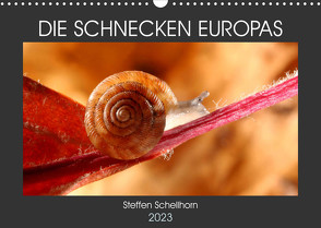 DIE SCHNECKEN EUROPAS (Wandkalender 2023 DIN A3 quer) von Schellhorn,  Steffen