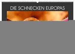 DIE SCHNECKEN EUROPAS (Wandkalender 2024 DIN A2 quer), CALVENDO Monatskalender von Schellhorn,  Steffen