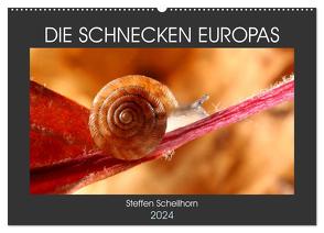 DIE SCHNECKEN EUROPAS (Wandkalender 2024 DIN A2 quer), CALVENDO Monatskalender von Schellhorn,  Steffen