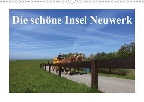 Die schöne Insel Neuwerk (Wandkalender 2019 DIN A3 quer) von S. + J. Schröder,  AWS, Schroeder,  Susanne, Werbeagentur