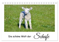 Die schöne Welt der Schafe (Tischkalender 2024 DIN A5 quer), CALVENDO Monatskalender von Rohde,  Angela