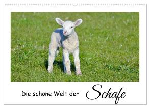 Die schöne Welt der Schafe (Wandkalender 2024 DIN A2 quer), CALVENDO Monatskalender von Rohde,  Angela