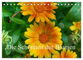 Die Schönheit der Blumen (Tischkalender 2024 DIN A5 quer), CALVENDO Monatskalender von Morlok,  Andreas