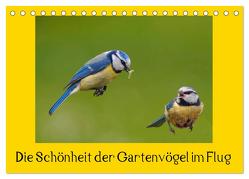 Die Schönheit der Gartenvögel im Flug (Tischkalender 2024 DIN A5 quer), CALVENDO Monatskalender von Klapp,  Lutz