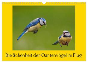 Die Schönheit der Gartenvögel im Flug (Wandkalender 2024 DIN A3 quer), CALVENDO Monatskalender von Klapp,  Lutz