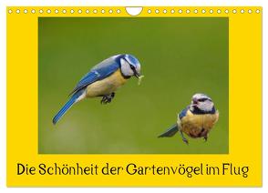 Die Schönheit der Gartenvögel im Flug (Wandkalender 2024 DIN A4 quer), CALVENDO Monatskalender von Klapp,  Lutz