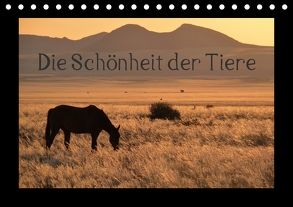 Die Schönheit der Tiere (Tischkalender 2018 DIN A5 quer) von Olschner,  Sabine