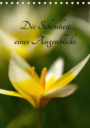 Die Schönheit eines Augenblicks (Tischkalender 2018 DIN A5 hoch) von Brigitte Deus-Neumann,  Dr.