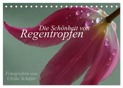 Die Schönheit von Regentropfen (Tischkalender 2024 DIN A5 quer), CALVENDO Monatskalender von Schäfer,  Ulrike