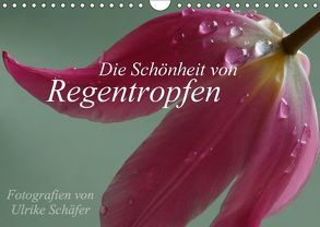 Die Schönheit von Regentropfen (Wandkalender 2018 DIN A4 quer) von Schäfer,  Ulrike