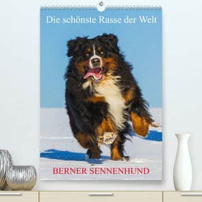 Die schönste Rasse der Welt – Berner Sennenhund (Premium, hochwertiger DIN A2 Wandkalender 2023, Kunstdruck in Hochglanz) von Starick,  Sigrid