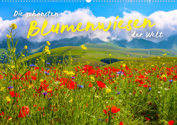 Die schönsten Blumenwiesen der Welt (Wandkalender 2023 DIN A2 quer) von SF