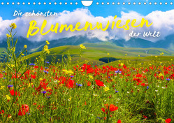 Die schönsten Blumenwiesen der Welt (Wandkalender 2023 DIN A4 quer) von SF
