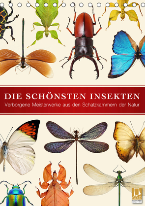 Die schönsten Insekten (Tischkalender 2020 DIN A5 hoch) von Art Print,  Wildlife