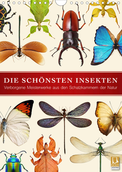 Die schönsten Insekten (Wandkalender 2021 DIN A4 hoch) von Art Print,  Wildlife
