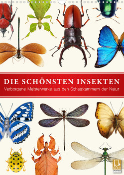Die schönsten Insekten (Wandkalender 2023 DIN A3 hoch) von Art Print,  Wildlife