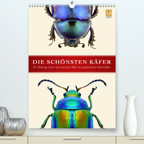 Die schönsten Käfer (Premium, hochwertiger DIN A2 Wandkalender 2020, Kunstdruck in Hochglanz) von Art Print,  Wildlife