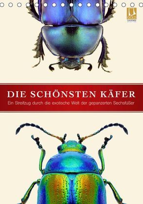 Die schönsten Käfer (Tischkalender 2019 DIN A5 hoch) von Art Print,  Wildlife