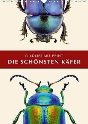 Die schönsten Käfer (Wandkalender 2018 DIN A3 hoch) von Art Print,  Wildlife
