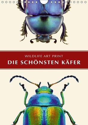 Die schönsten Käfer (Wandkalender 2018 DIN A4 hoch) von Art Print,  Wildlife