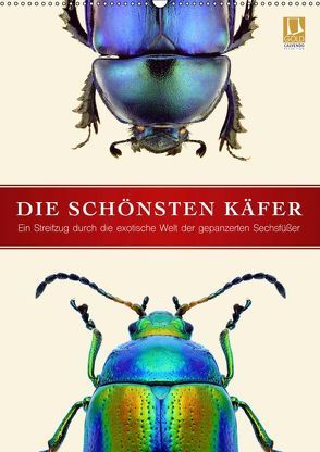 Die schönsten Käfer (Wandkalender 2019 DIN A2 hoch) von Art Print,  Wildlife