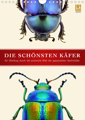 Die schönsten Käfer (Wandkalender 2021 DIN A4 hoch) von Art Print,  Wildlife