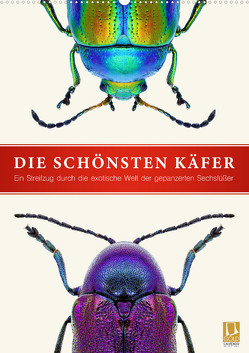 Die schönsten Käfer (Wandkalender 2023 DIN A2 hoch) von Art Print,  Wildlife