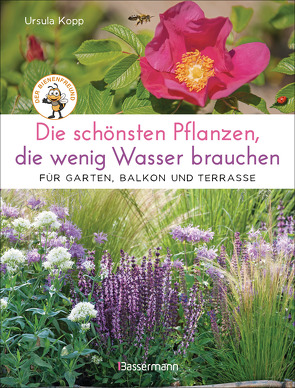 Die schönsten Pflanzen, die wenig Wasser brauchen für Garten, Balkon und Terrasse – 66 trockenheitsverträgliche Stauden, Sträucher, Gräser und Blumen, die heiße Sommer garantiert überleben von Kopp,  Ursula