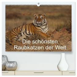 Die schönsten Raubkatzen der Welt (hochwertiger Premium Wandkalender 2024 DIN A2 quer), Kunstdruck in Hochglanz von Vollborn,  Marion