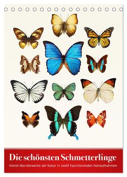 Die schönsten Schmetterlinge (Tischkalender 2024 DIN A5 hoch), CALVENDO Monatskalender von Art Print,  Wildlife