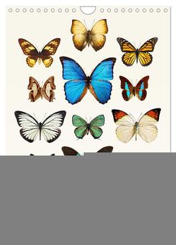 Die schönsten Schmetterlinge (Wandkalender 2024 DIN A4 hoch), CALVENDO Monatskalender von Art Print,  Wildlife