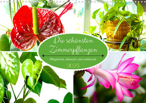 Die schönsten Zimmerpflanzen. Pflegeleicht, dekorativ und wohltuend (Wandkalender 2023 DIN A3 quer) von Hurley,  Rose