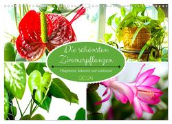 Die schönsten Zimmerpflanzen. Pflegeleicht, dekorativ und wohltuend (Wandkalender 2024 DIN A3 quer), CALVENDO Monatskalender von Hurley,  Rose