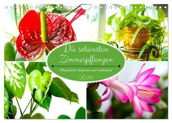 Die schönsten Zimmerpflanzen. Pflegeleicht, dekorativ und wohltuend (Wandkalender 2024 DIN A4 quer), CALVENDO Monatskalender von Hurley,  Rose