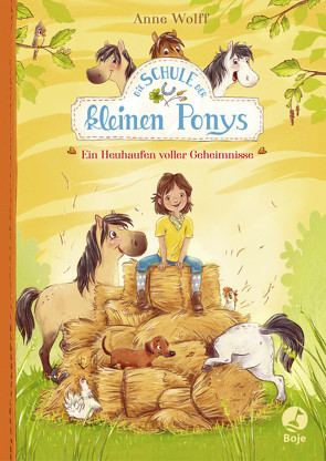 Die Schule der kleinen Ponys – Ein Heuhaufen voller Geheimnisse von Reitz,  Nadine, Wolff,  Anne