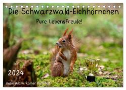 Die Schwarzwald-Eichhörnchen (Tischkalender 2024 DIN A5 quer), CALVENDO Monatskalender von Adam,  Heike