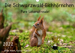 Die Schwarzwald-Eichhörnchen (Wandkalender 2022 DIN A3 quer) von Adam,  Heike