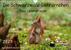 Die Schwarzwald-Eichhörnchen (Wandkalender 2023 DIN A4 quer) von Adam,  Heike